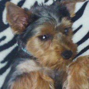 Meet your Posher, Kathy